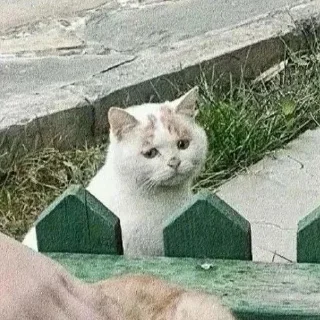 😕