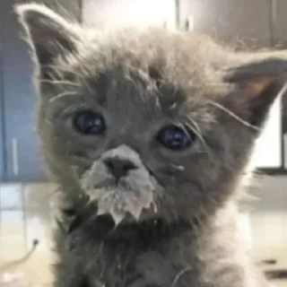 ☹️