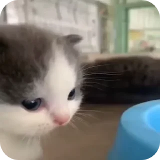 🤨