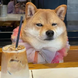 🤨