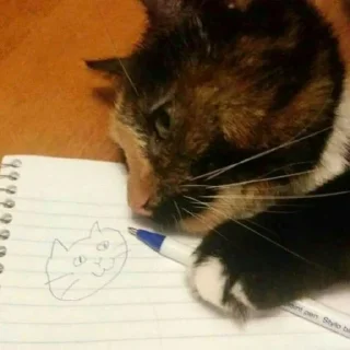 🐈