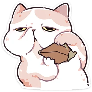 👛