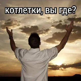 🕊️