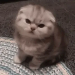 😠