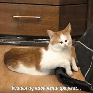 😢
