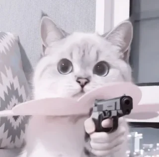 🔫