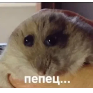 😕