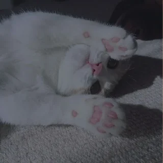 💗