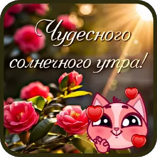 🌸