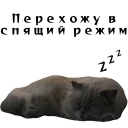 😴