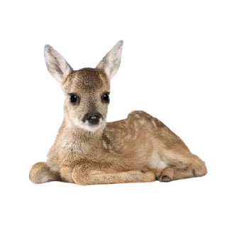 🦌