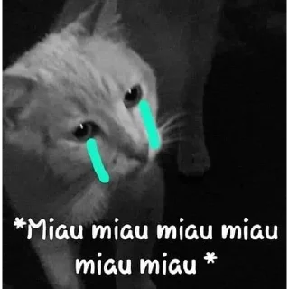 😭