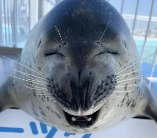 😆
