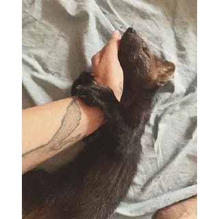 🤲