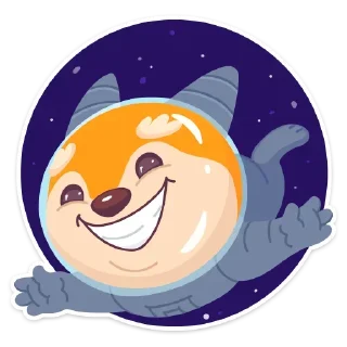 👩‍🚀