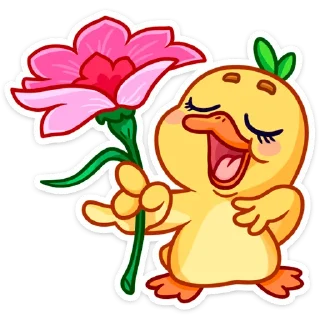 🌺