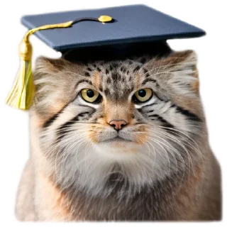 🏫