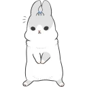 🐰
