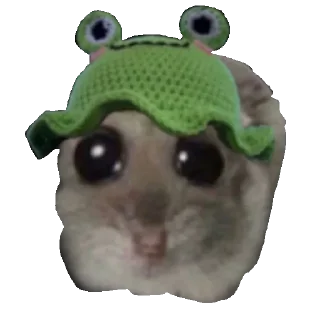 🐸