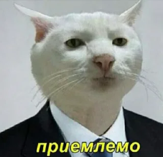 👌