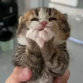 😍