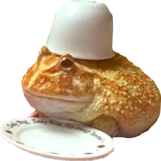 🍽