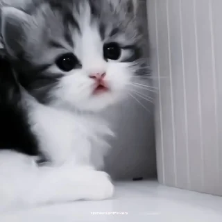 🍙