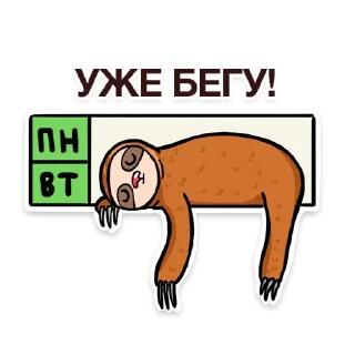 😆