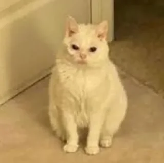 😒