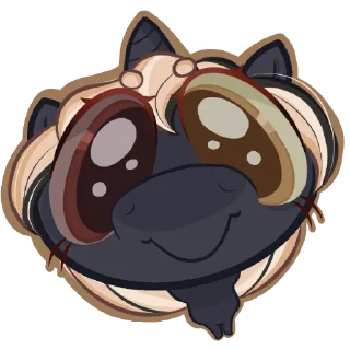 😸