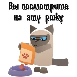 🐱