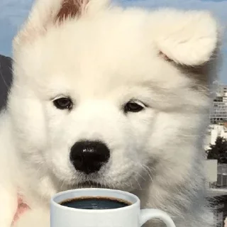 😊