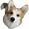 Corgi Cheetos