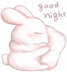 🐰