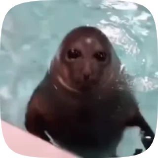 🤯