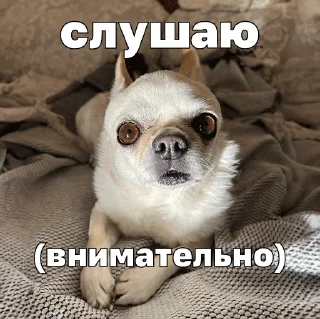 🥸