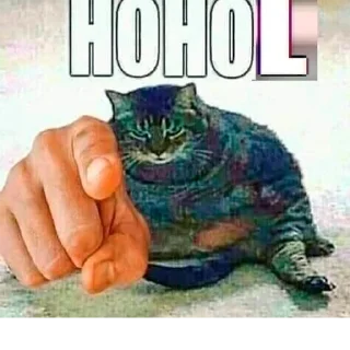 🇺🇦