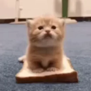 🍔