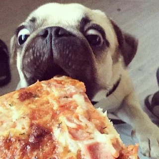 🍕