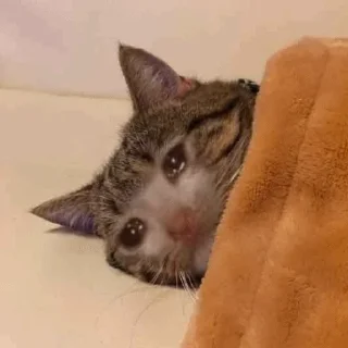 😭