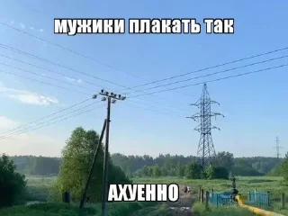 👍