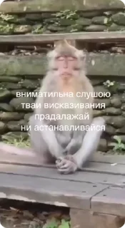 🎧