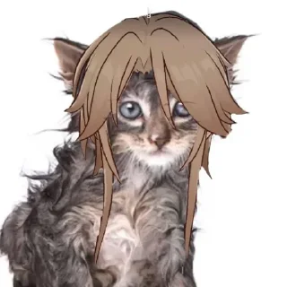 🐱