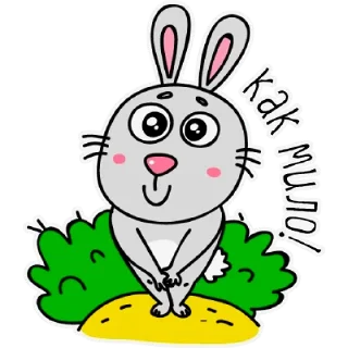 🐰