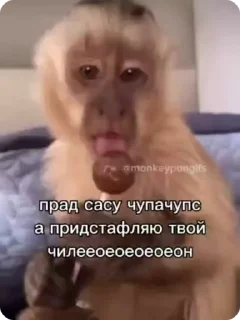 🍭