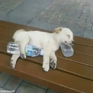 🤣