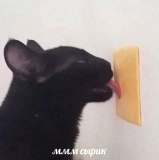 👅