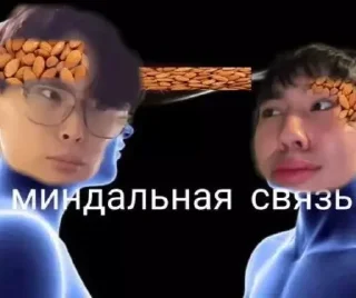 🤍