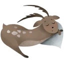 😴