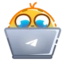 💻